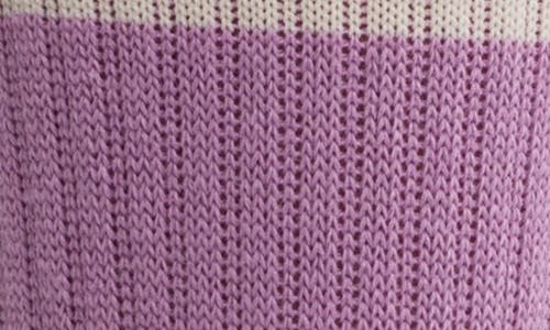 Le Bon Shoppe Boyfriend Stripe Cotton Blend Rib Crew Socks In Grape