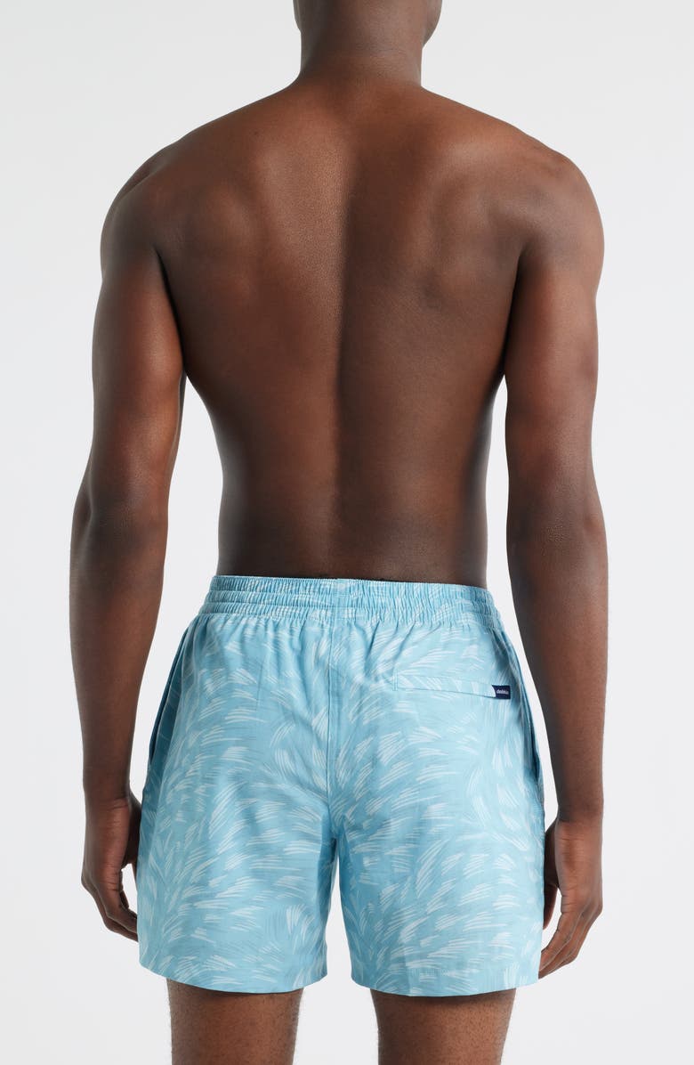 Chubbies Whirlpool Classic Lined 5.5-Inch Swim Trunks, Alternate, color, Turquoise/ Aqua