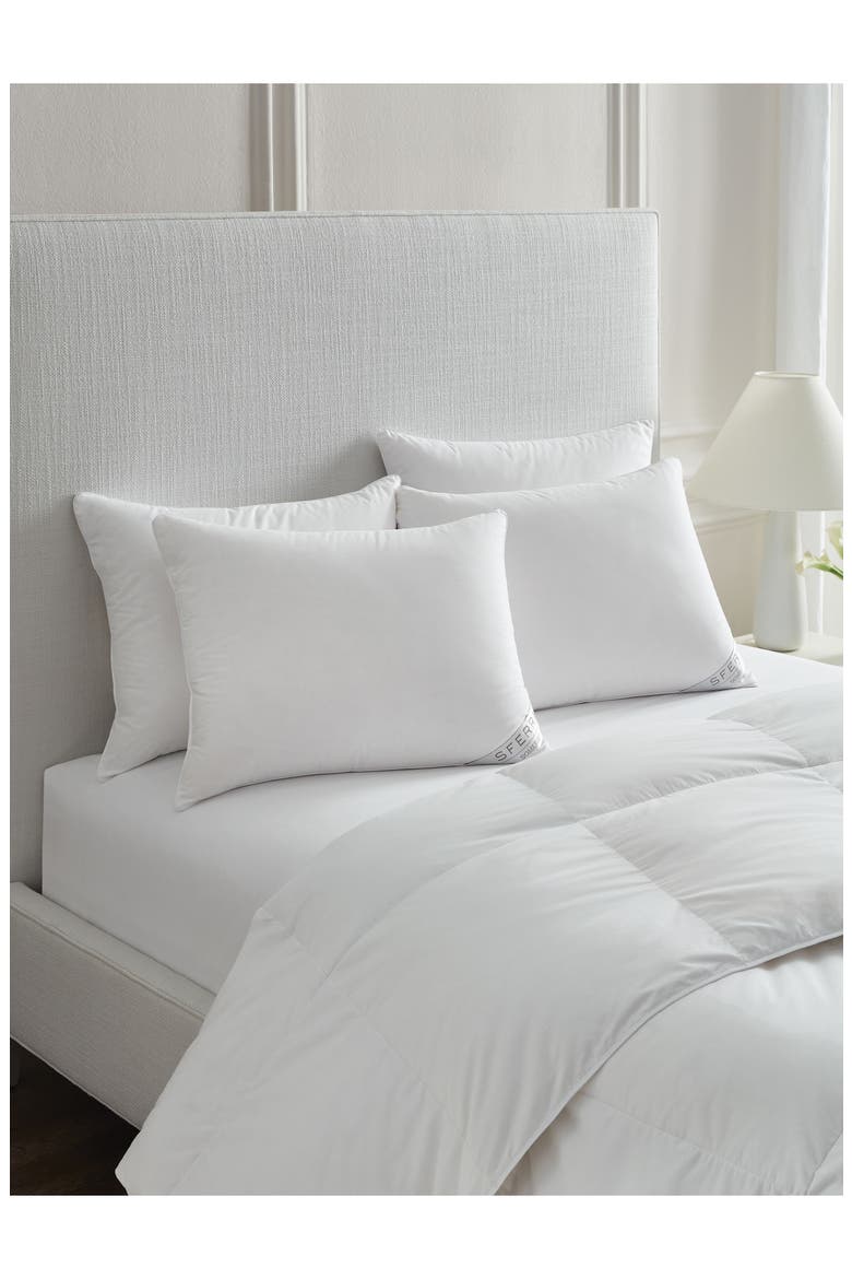 Somerset Light Warmth Goose Down Duvet, Alternate, color, WHITE