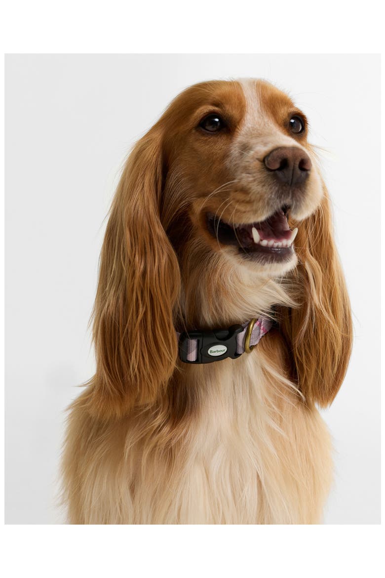 Tartan Dog Collar, Alternate, color, PINK TARTAN