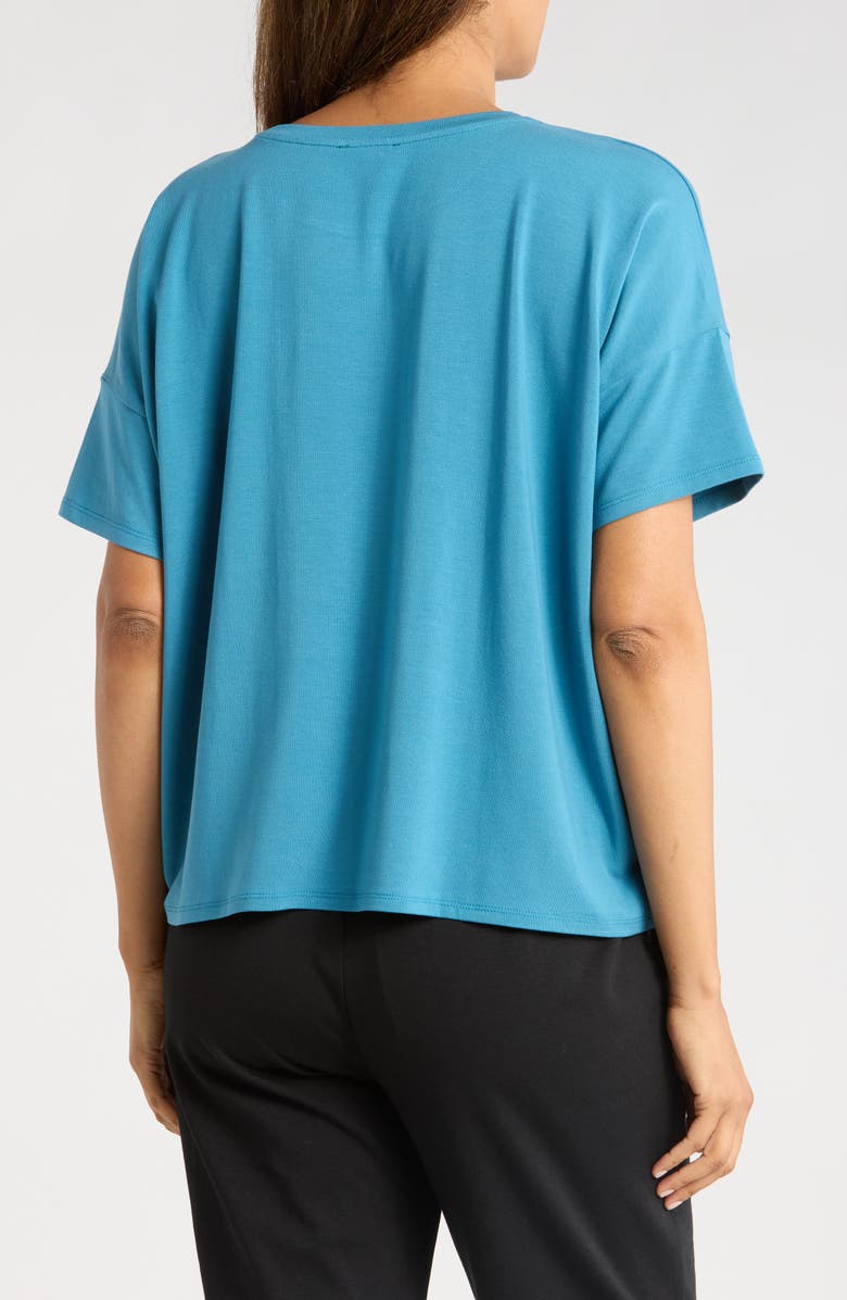 Eileen Fisher Bateau Neck Box Top, Alternate, color, Cascade