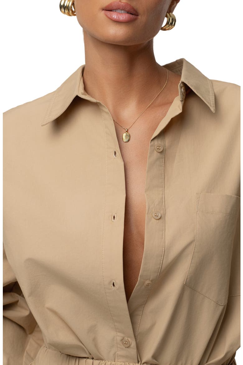 Leon Oversize Cotton Poplin Button-Up Shirt, Alternate, color, BEIGE