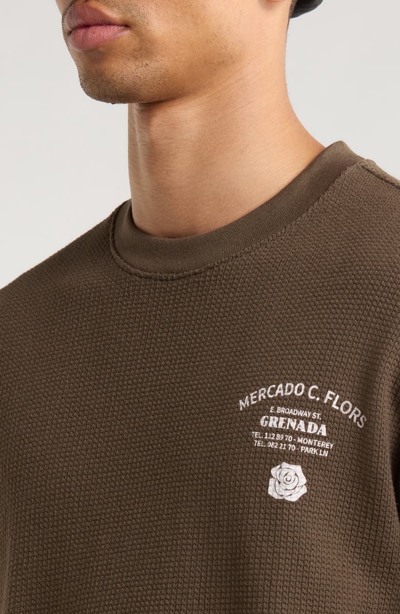 PacSun Mercado Oversize Waffle Graphic T-Shirt, Alternate, color, Brown