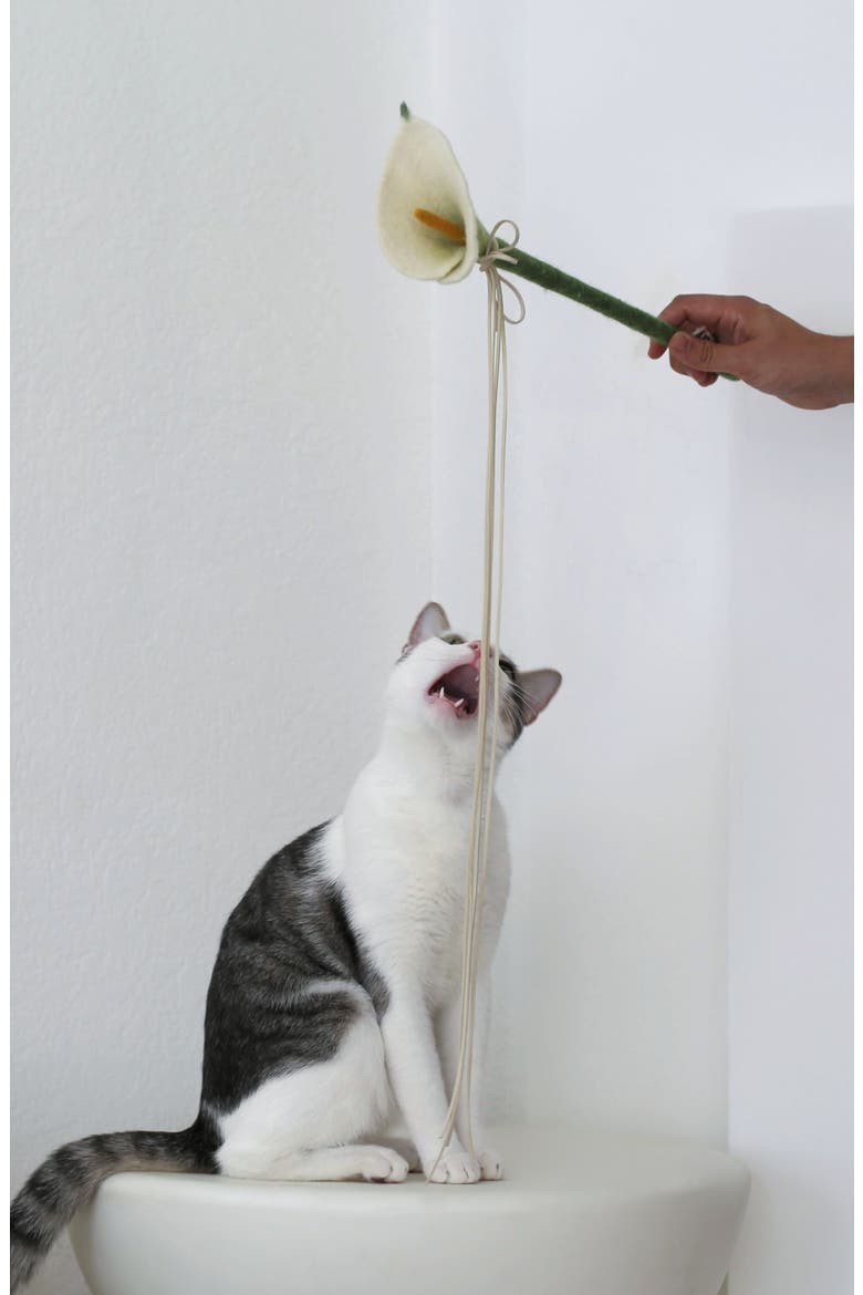 Flora Wand Cat Toy, Alternate, color, NONE