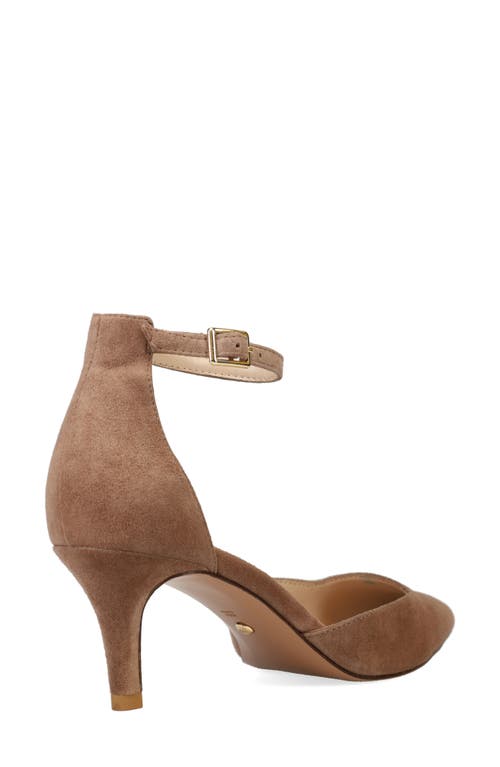 Pelle Moda Kendal Ankle Strap Pointed Toe Kitten Heel Pump In Brown