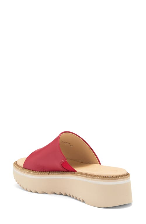 Paul Green May Slide Sandal In Red