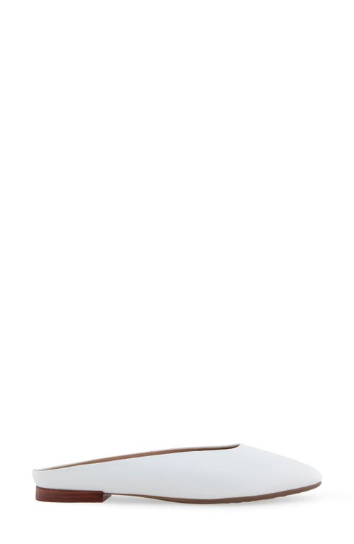 AEROSOLES AEROSOLES AMARA MULE