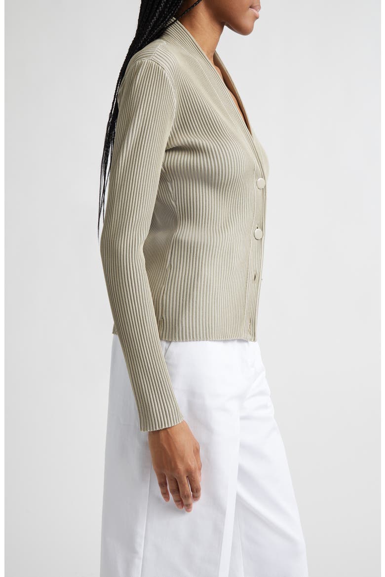 Rib V-Neck Cardigan, Alternate, color, TAN