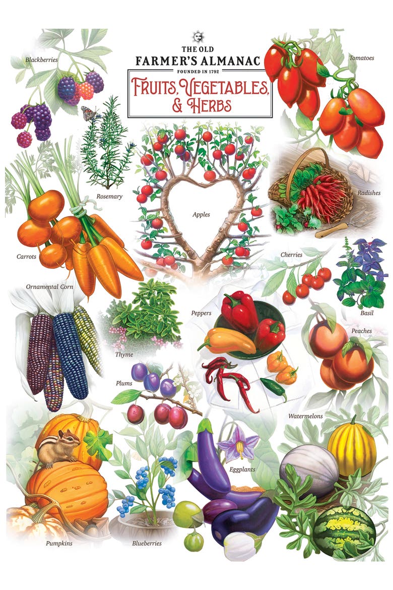 Fruits Vegetables & Herbs 1000pc Puzzle, Alternate, color, Multicolor