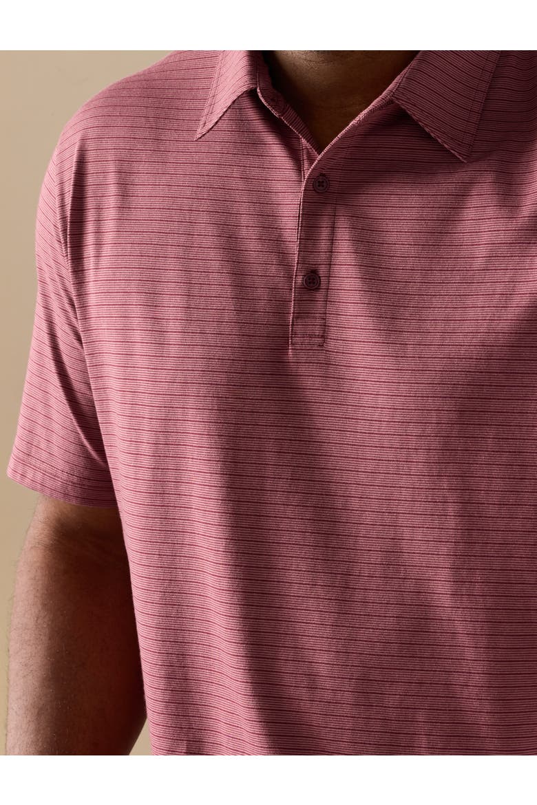 Big & Tall Striped Tech Polo Shirt, Alternate, color, WINDSOR WINE