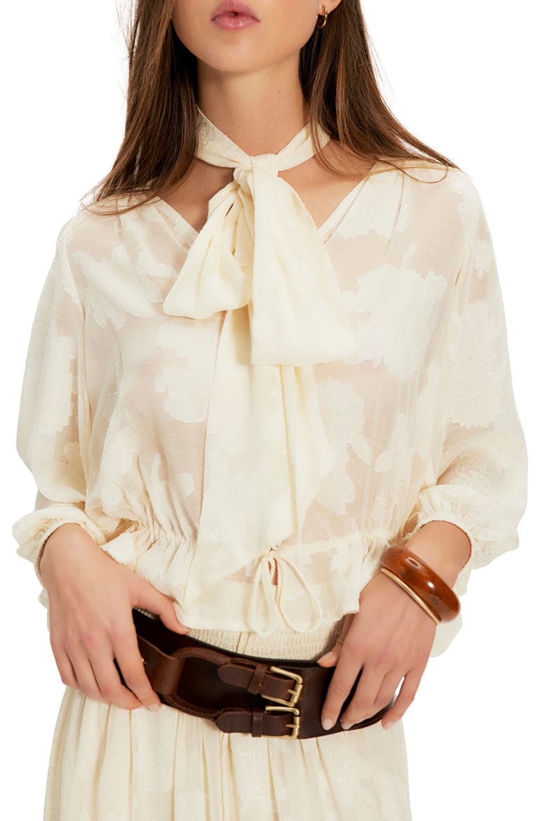 Everhart Wide Leather Hip Belt, Alternate, color, ESPRESSO