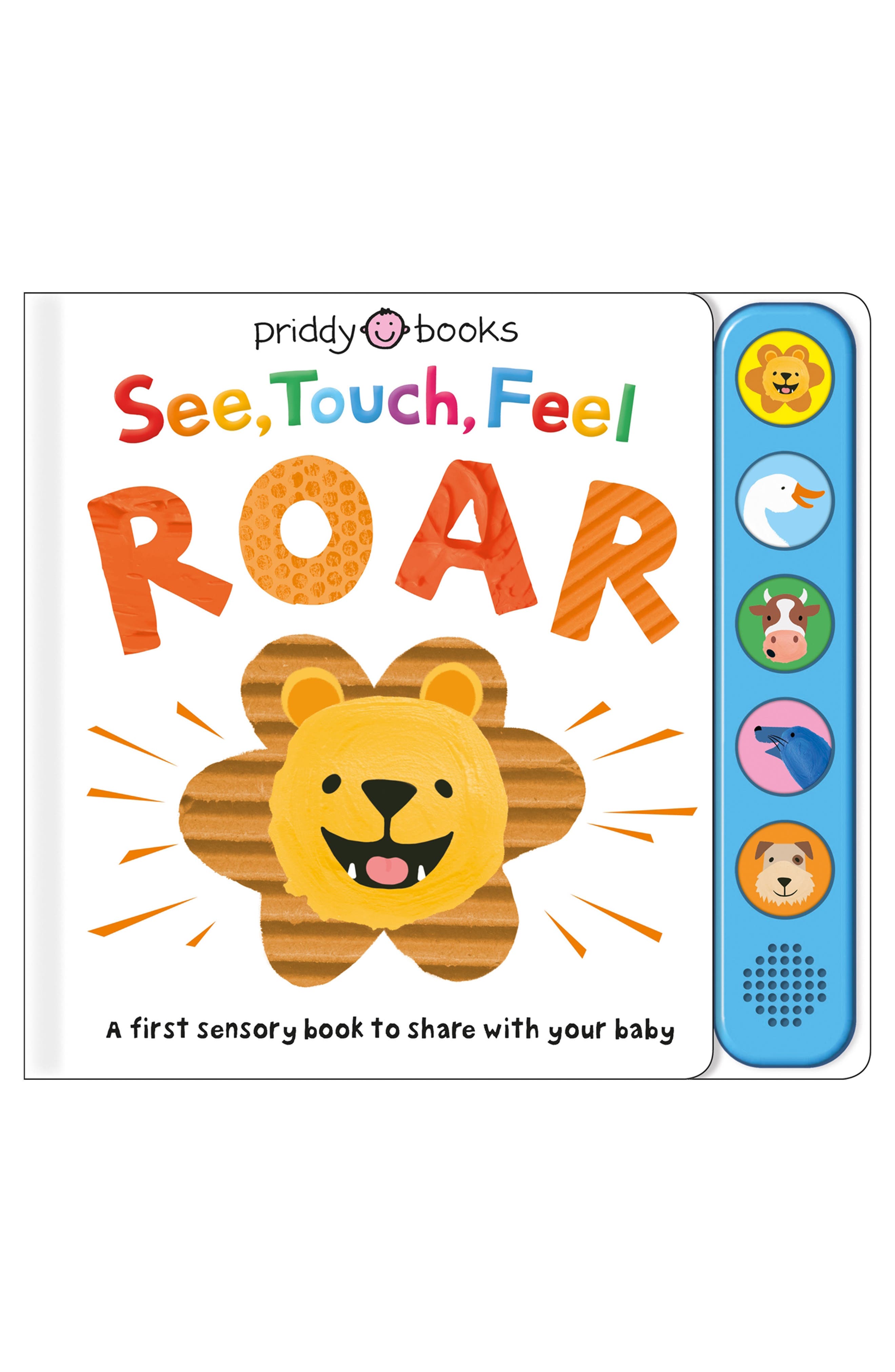 See, Touch, Feel: Roar Book