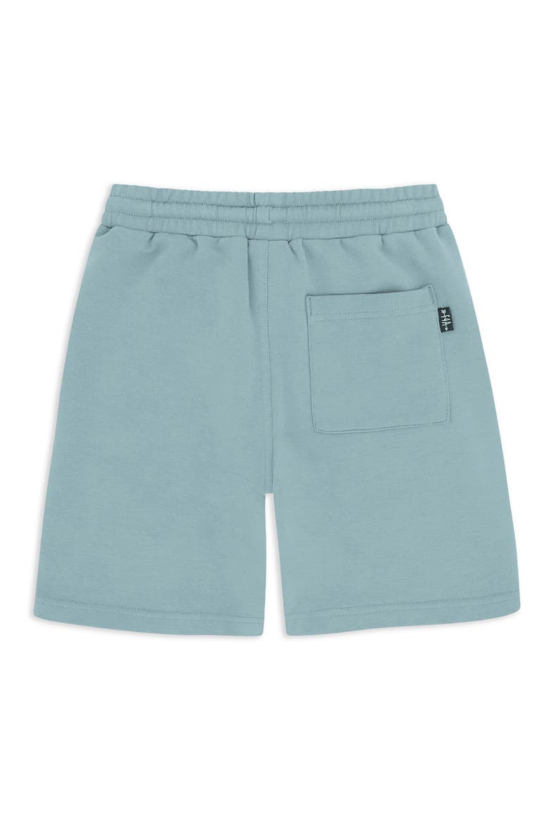 Kids' Lowtide Stretch French Terry Sweat Shorts, Alternate, color, SURF BLUE
