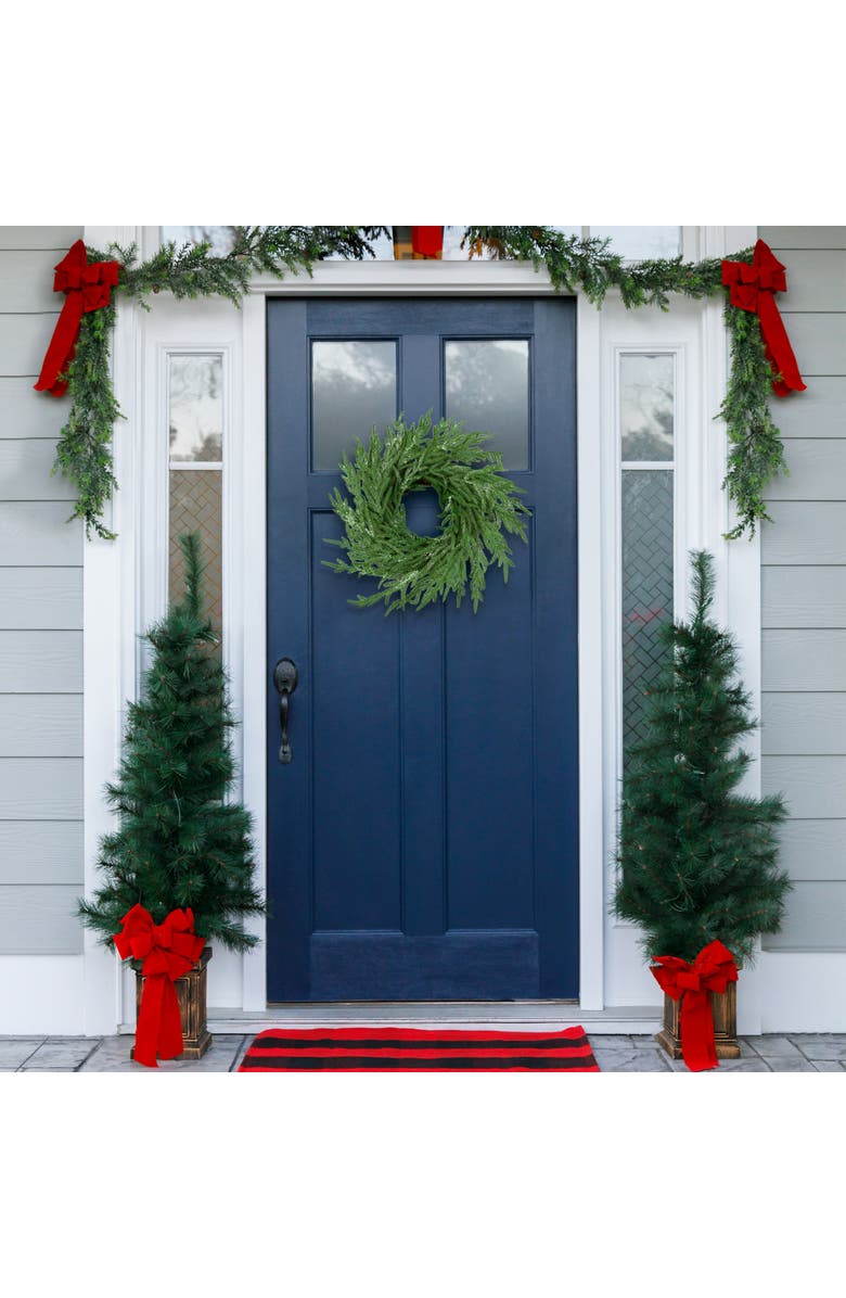 Northlight Frosted Norfolk Pine Artificial Christmas Wreath - 20" - Unlit, Alternate, color, Green