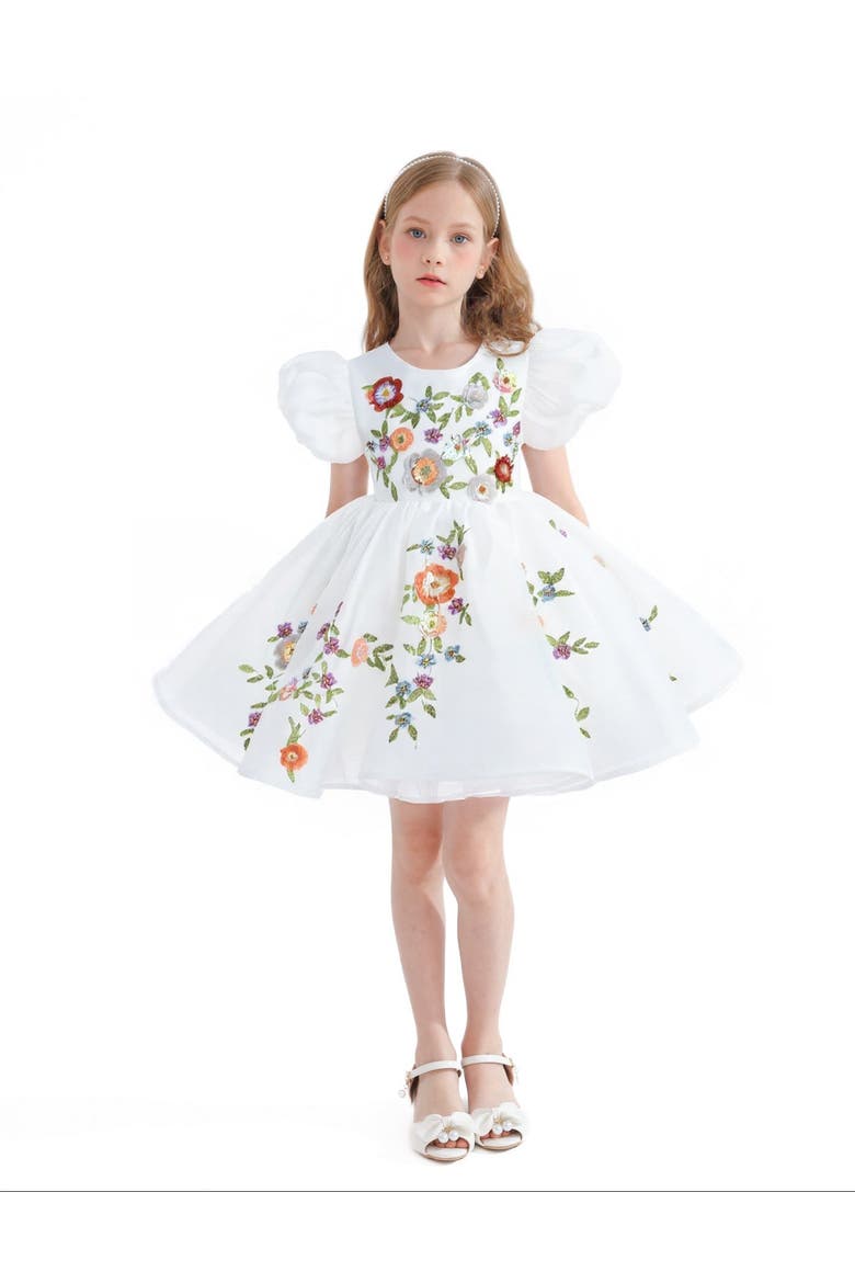 Embroidered Puff Sleeve Dress, Alternate, color, White