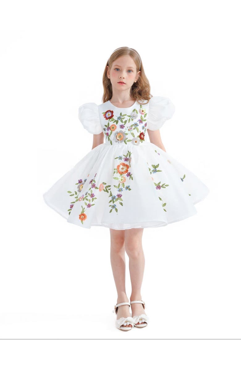 Tulleen Embroidered Puff Sleeve Dress, Alternate, color, White