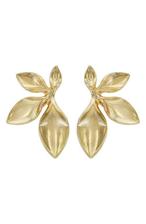 Panacea Leaf Drop Earrings in Gold 