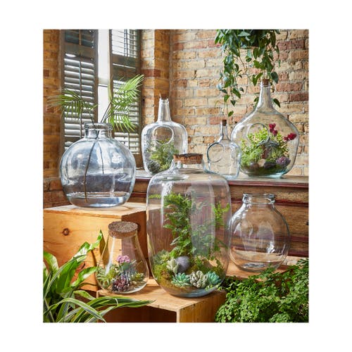 Tag Large Recycled Glass Terrarium Decorative Garden Planter In Green