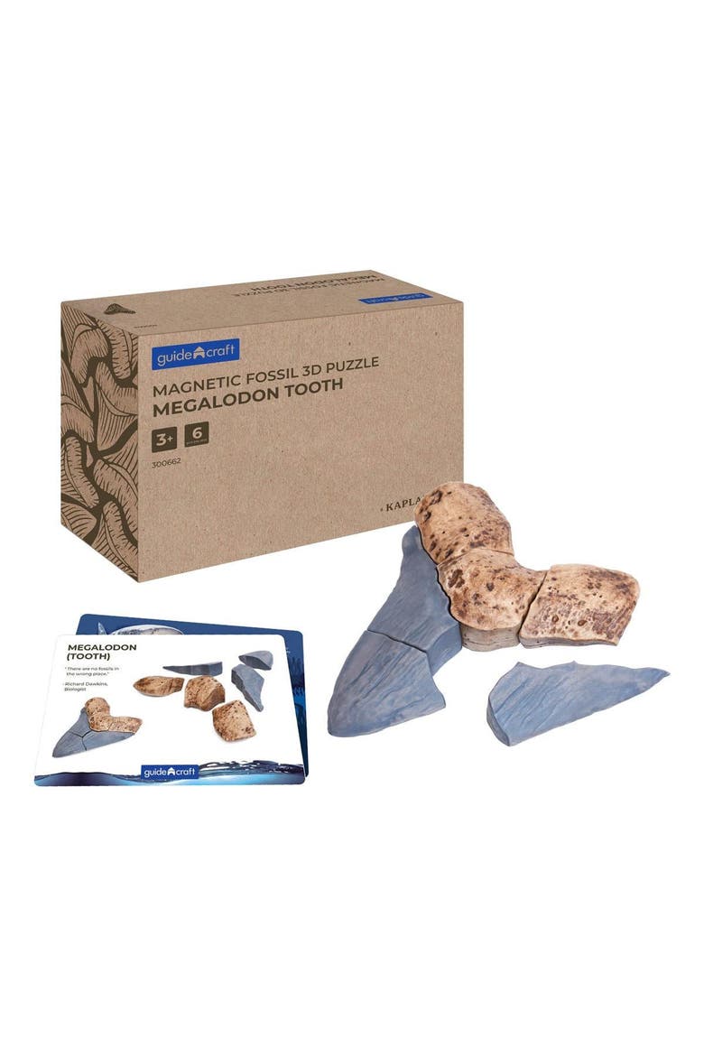 Magnetic Fossil 3D Puzzle - Megalodon Tooth - 6 Pieces, Main, color, Brown