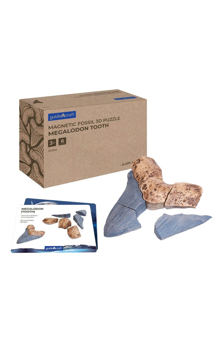 Kaplan Early Learning Company Magnetic Fossil 3D Puzzle - Megalodon Tooth - 6 Pieces, Main, color, Brown