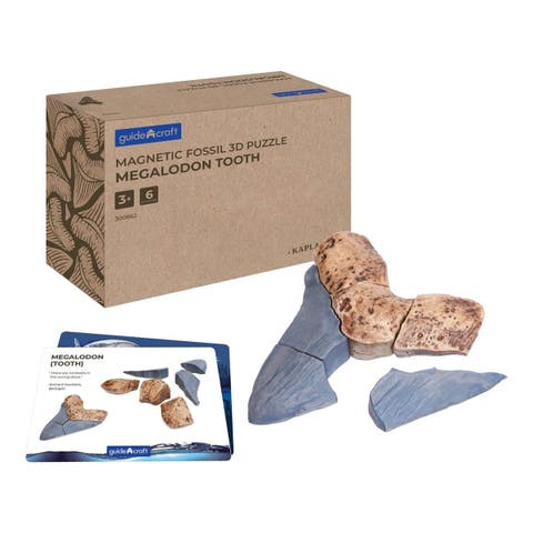 Magnetic Fossil 3D Puzzle - Megalodon Tooth - 6 Pieces