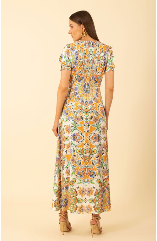 Hale Bob Ila Maxi Dress In Brown