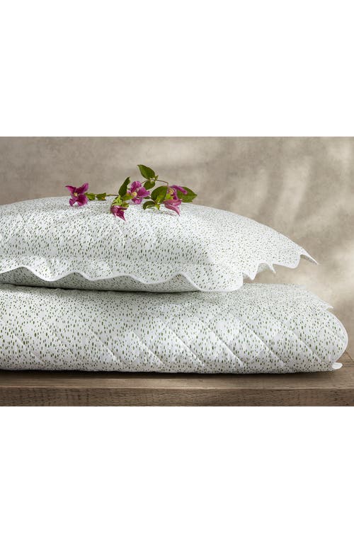 Matouk Celina Cotton Percale Quilted Sham