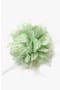 selected Mint
