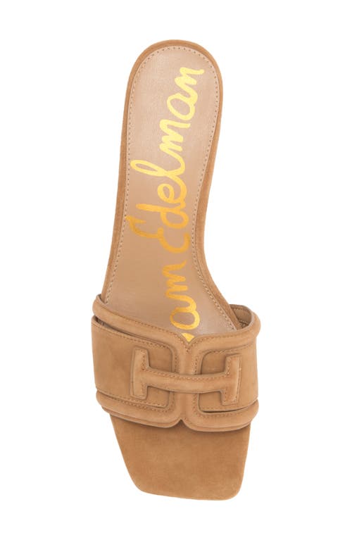 Sam Edelman Waylon Slide Sandal In Cyprus Tan