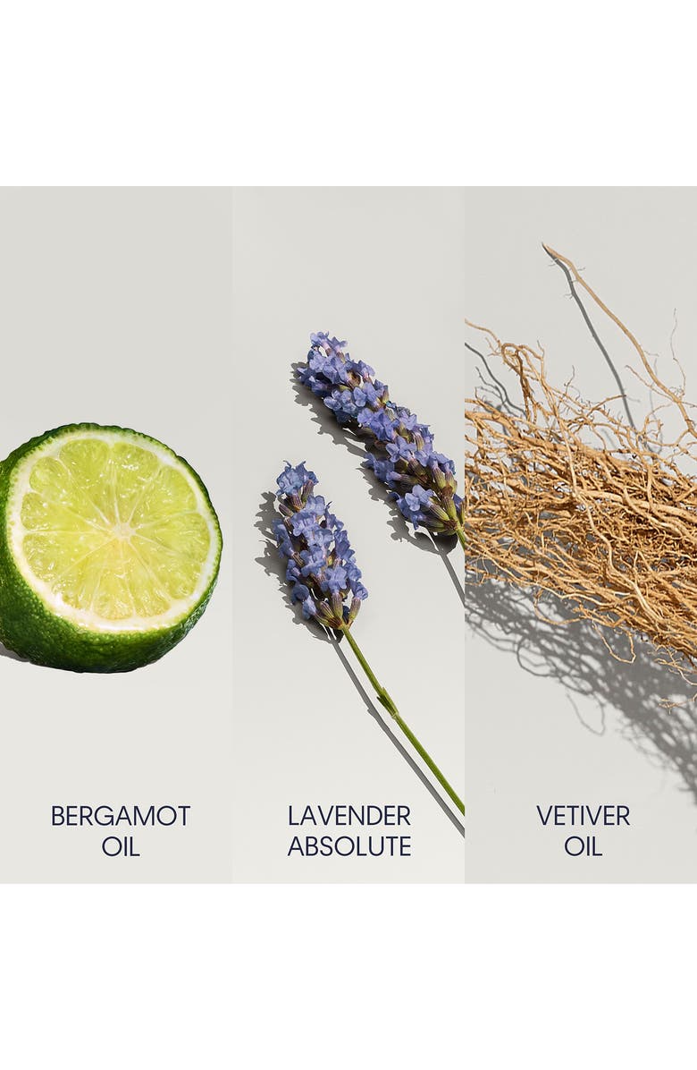 Calvin Klein Defy Eau de Toilette, Alternate, color, 