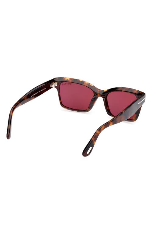 Tom Ford Mikel 54mm Square Sunglasses In Brown