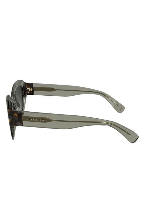 Longchamp Heritage 50mm Cat Eye Sunglasses In Transparent Olive/havana