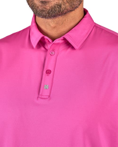 Black Clover Crockett Polo In Pink