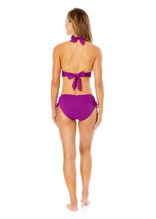 Shop Anne Cole Live In Color Halter Bikini Top In Fuchsia