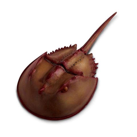 Horseshoe Crab Toy