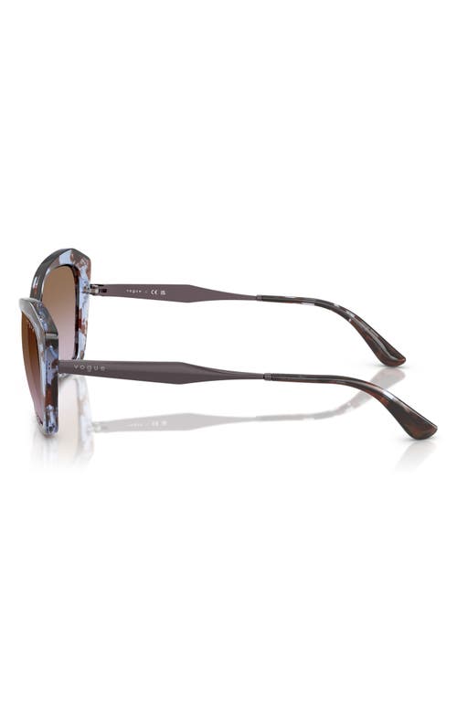 Vogue 56mm Cat Eye Sunglasses In Blue Havana