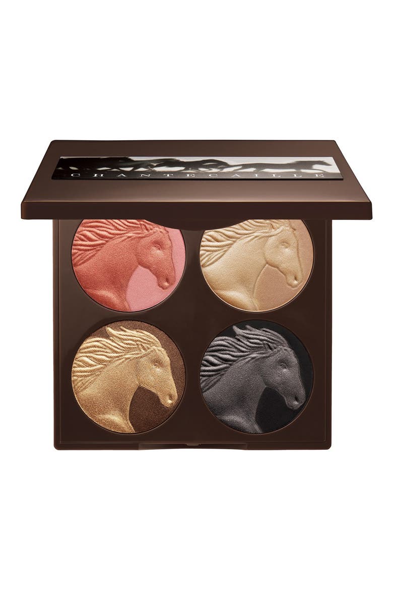 'Wild Horses' Eyeshadow & Blush Palette, Main, color, THE WILD HORSES PALETTE