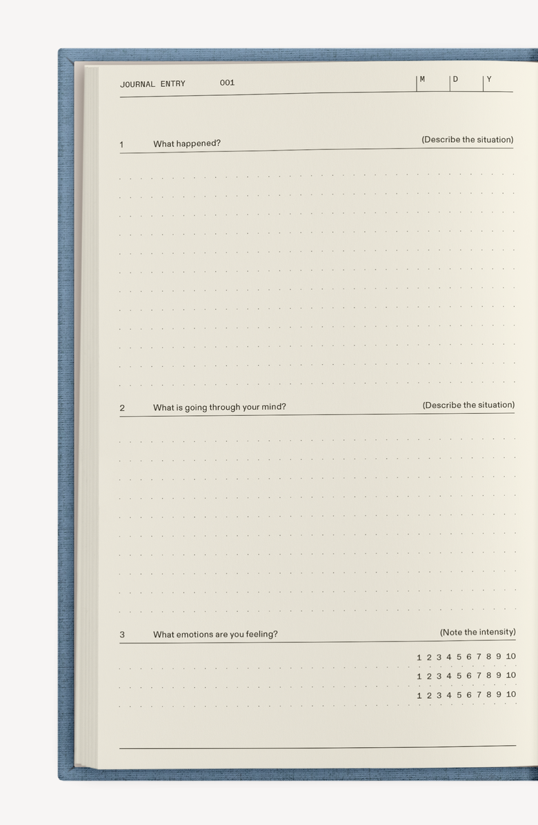 Therapy Notebooks The Anti-Anxiety Guided Notebook, Alternate, color, Dusty Blue