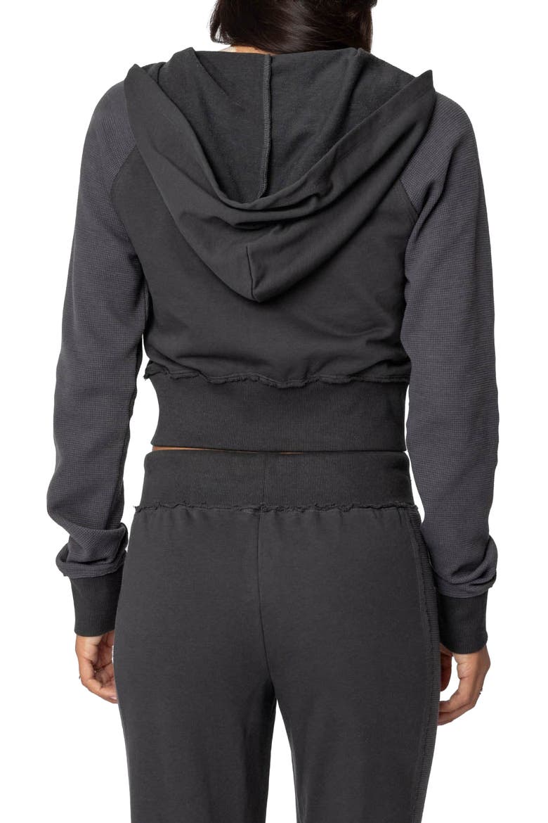 Chandler Crop Hoodie, Alternate, color, GRAY