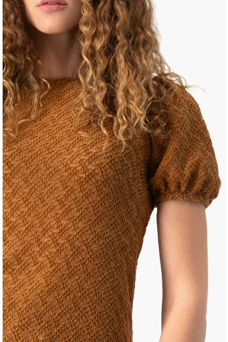 Back- Button Knit Crewneck Blouse, Alternate, color, Light Brown