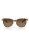  Cielo Ocean Tort / Copper 580G