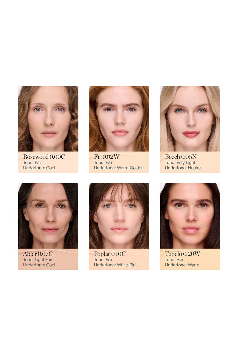 Complexion Perfecting Concealer, Alternate, color, ALDER