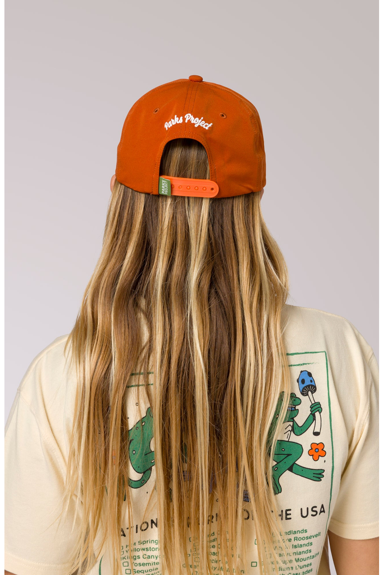 Austin Daytrippin Throwback Hat, Alternate, color, Burnt Orange