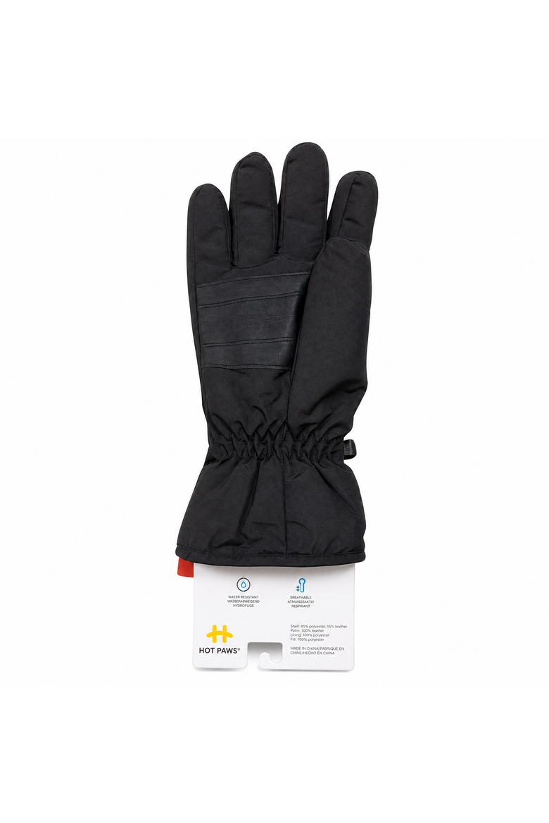 Men's Water-Resistant Insulated Ski Glove, Alternate, color, Black