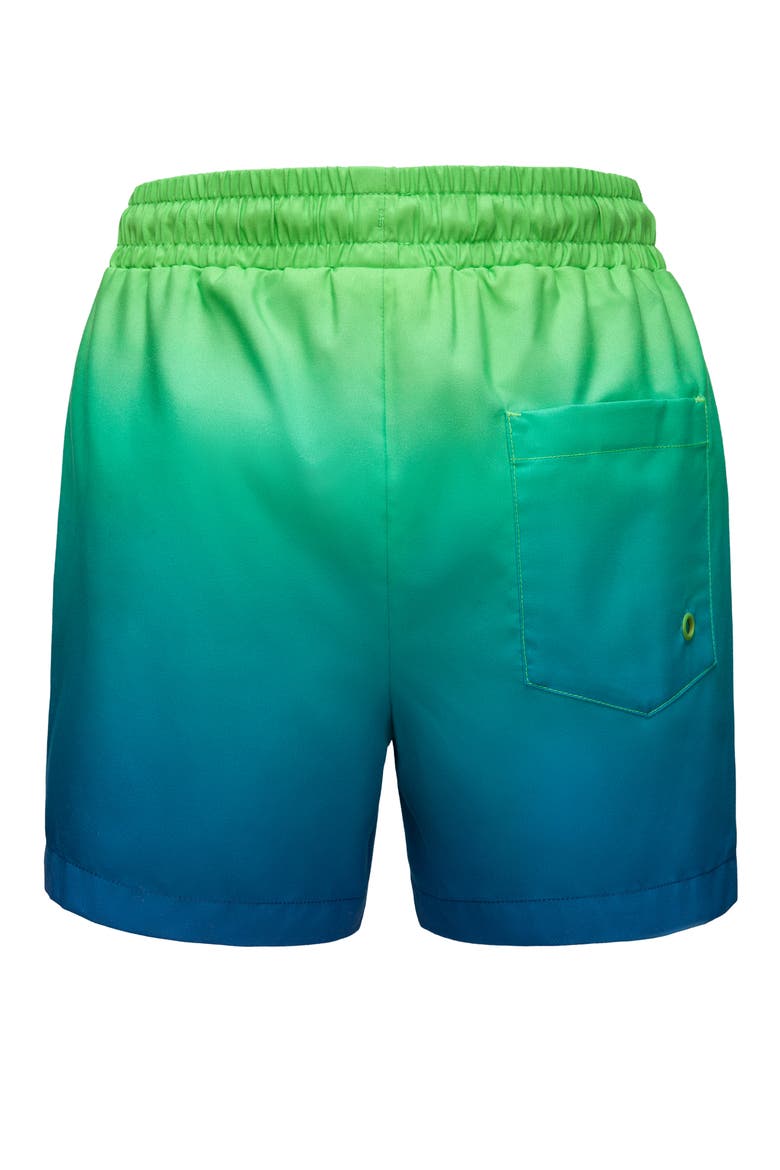Kids' Compression Liner Swim Trunks UPF 50+, Alternate, color, Emerald Bay