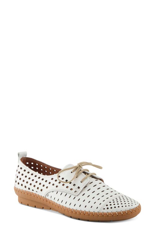 SPRING STEP SPRING STEP DEYSI PERFORATED DERBY