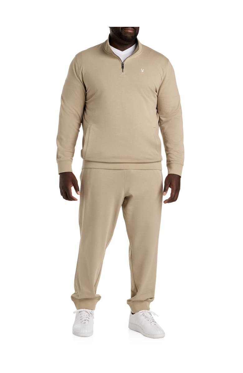 Psycho Bunny Big & Tall Dayton Quarter-Zip Sweatshirt, Alternate, color, 