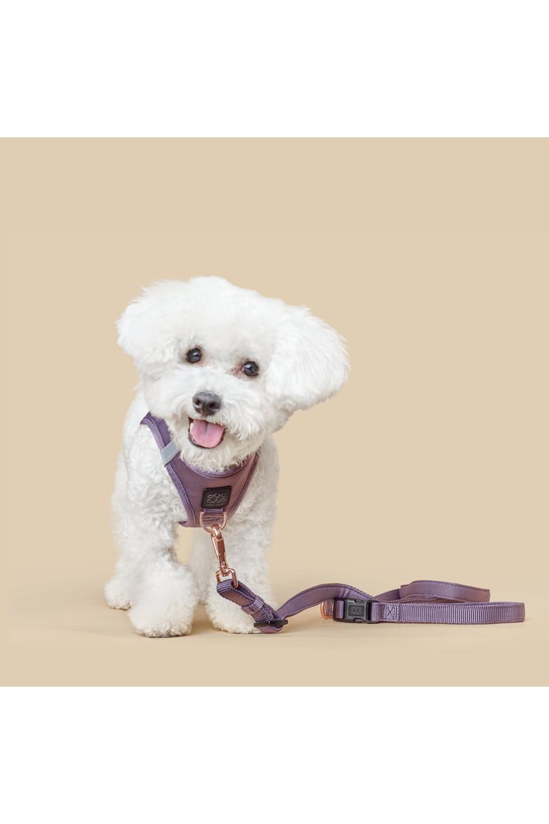 3-in-1 City Dog Leash, Alternate, color, Lilac Gray - Small