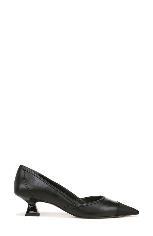 Franco Sarto Darcy Pointed Toe Kitten Heel Pump In Black