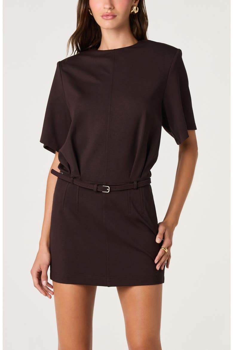Carlreca Belted Minidress, Alternate, color, DARK BROWN